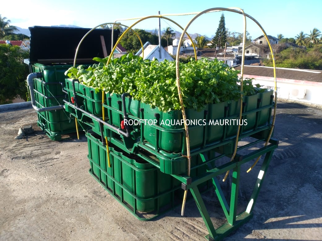 Aquaponics in Mauritius