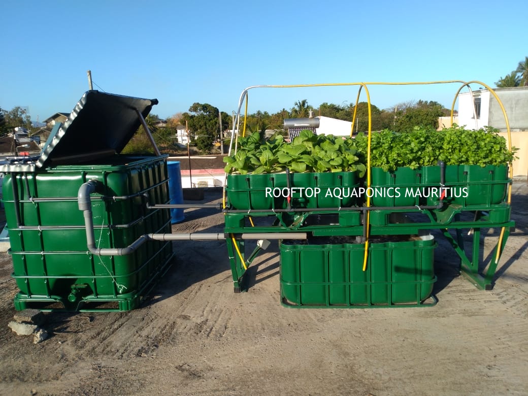 Aquaponics Training Program in Mauritius