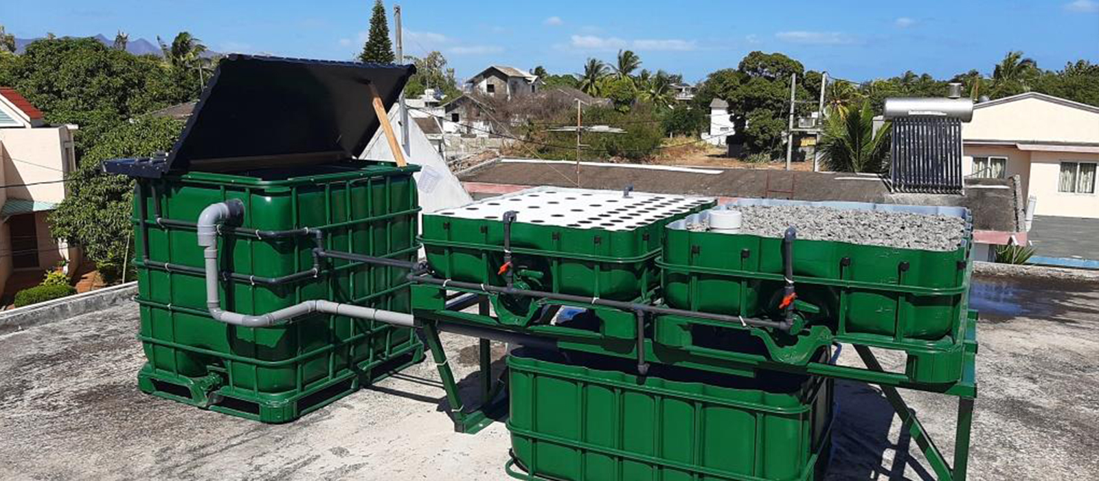 Aquaponics Company in Mauritius